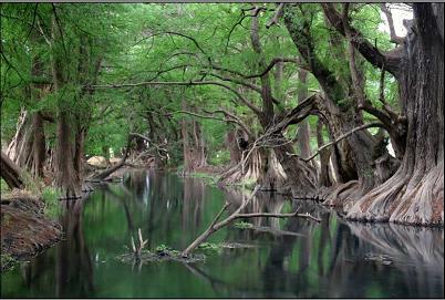 rio las adjuntas