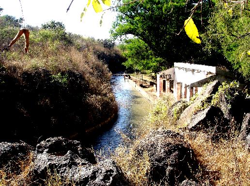 Las adjuntas