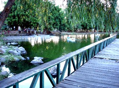 orandino